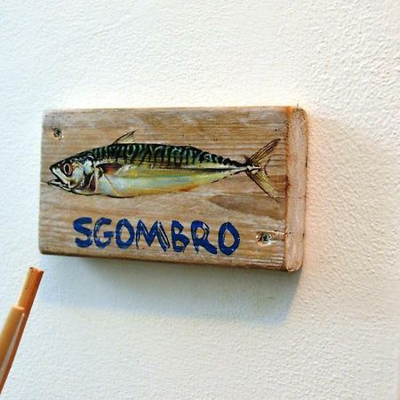 La Sciabbega B&B Porto Recanati Eksteriør bilde